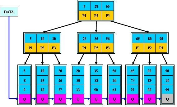 从B树、B 树、B*树谈到R树 - 图8