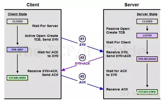 一文搞懂 TCP 与 UDP 的区别 - 图4