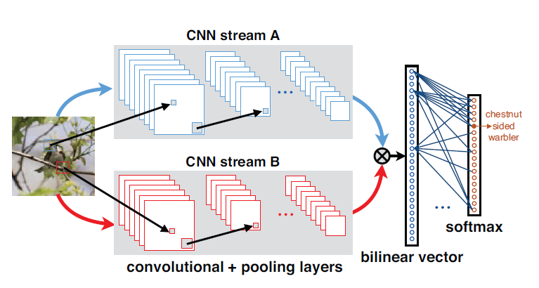 双线性CNN模型用于细粒度图像识别 - 图1