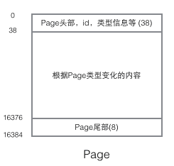 数据库学习笔记之索引和B树 - 图1