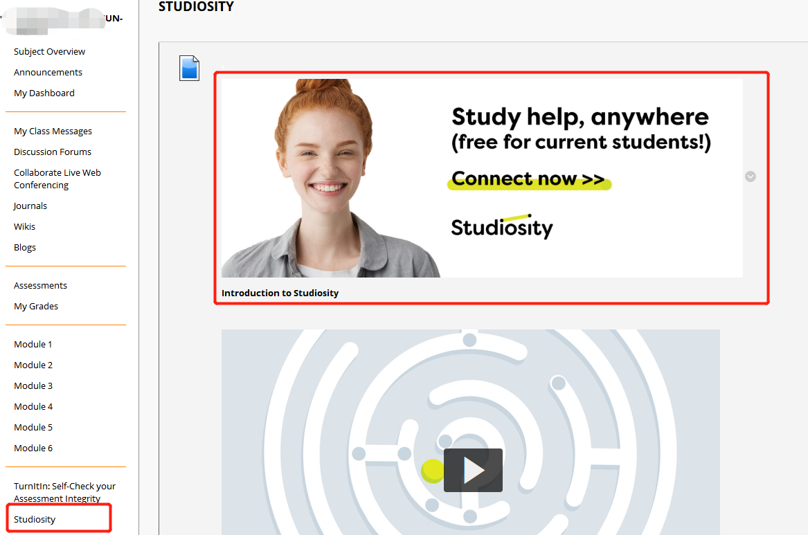 如何写好写作作业 - 图8