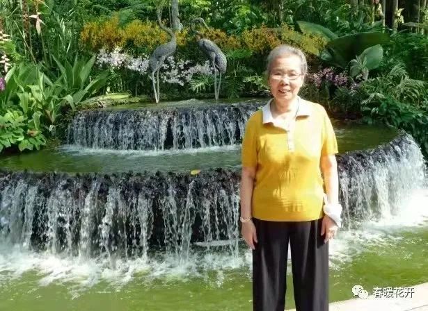 陈春花：怀念我的妈妈李兰芳 - 图3