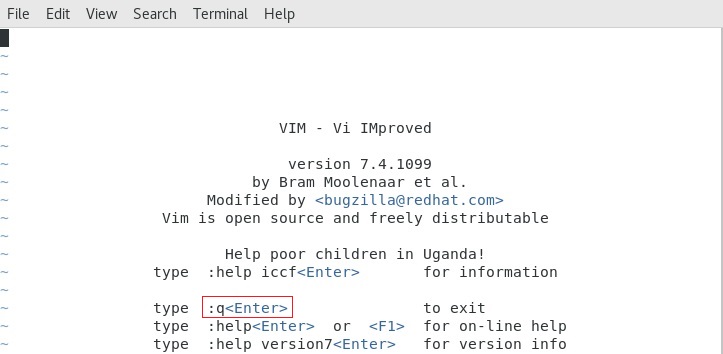 vim02.jpg