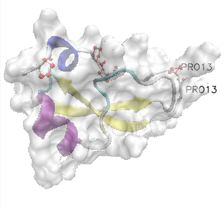 016. 蛋白质的结构、比对、预测 - 图20
