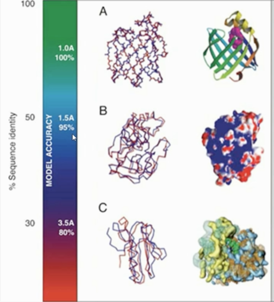 016. 蛋白质的结构、比对、预测 - 图22