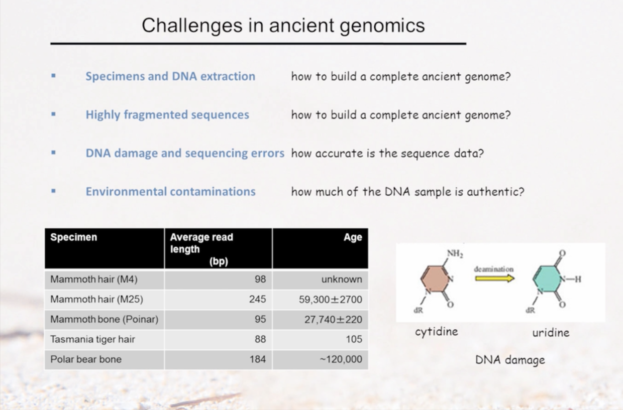 019. 高通量测序与古基因组学 - 图16