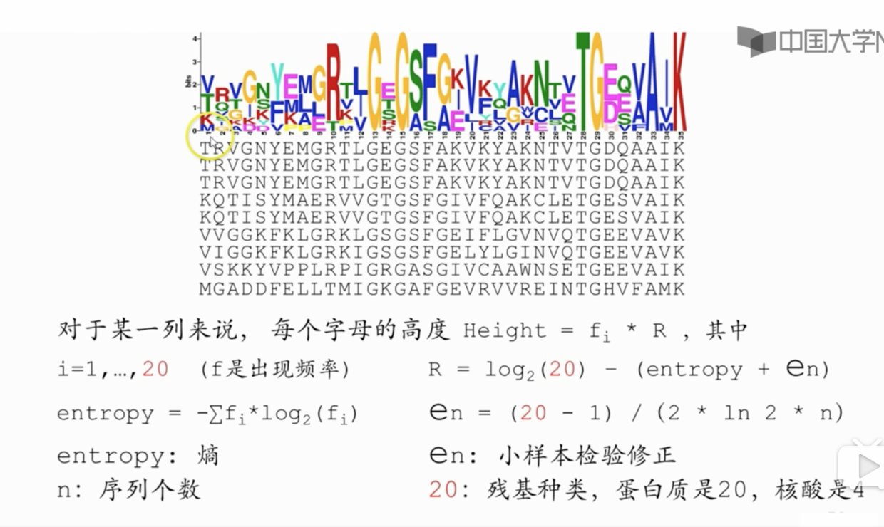 013. 通过多序列比对找到保守区域 - 图2