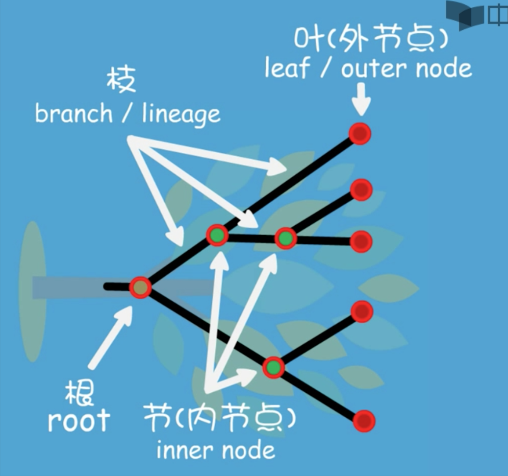 015. 系统发生树 - 图1