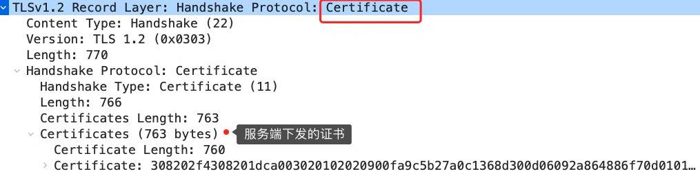 ech_certificate.webp