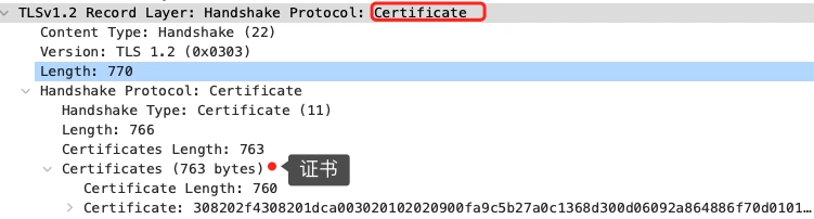 certificate.webp