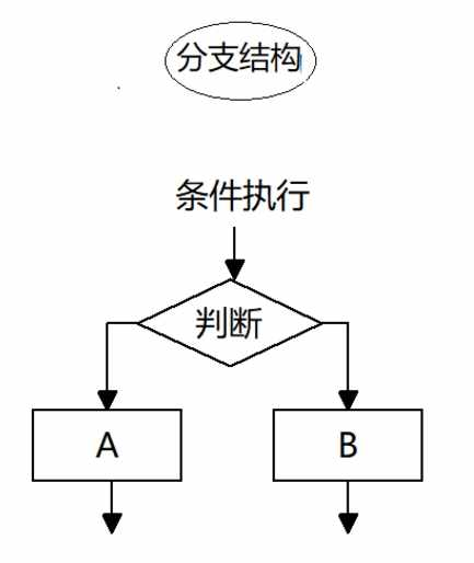 31-分支结构.jpg