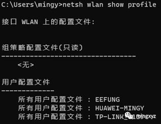 Windows主机信息收集 - 图5