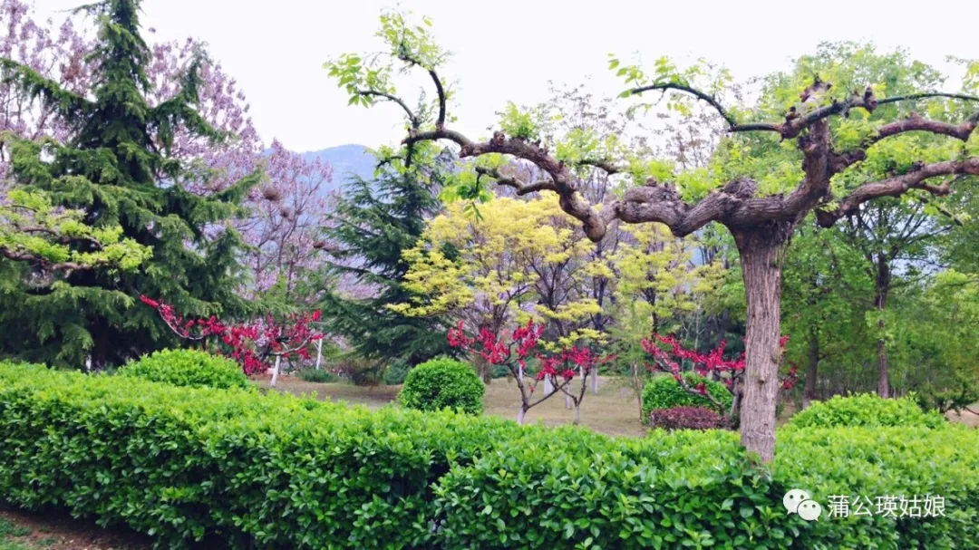 曹雪芹--栖居地|原来你一直在这里 - 图3