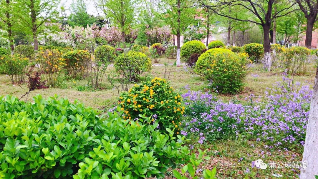 曹雪芹--栖居地|原来你一直在这里 - 图4