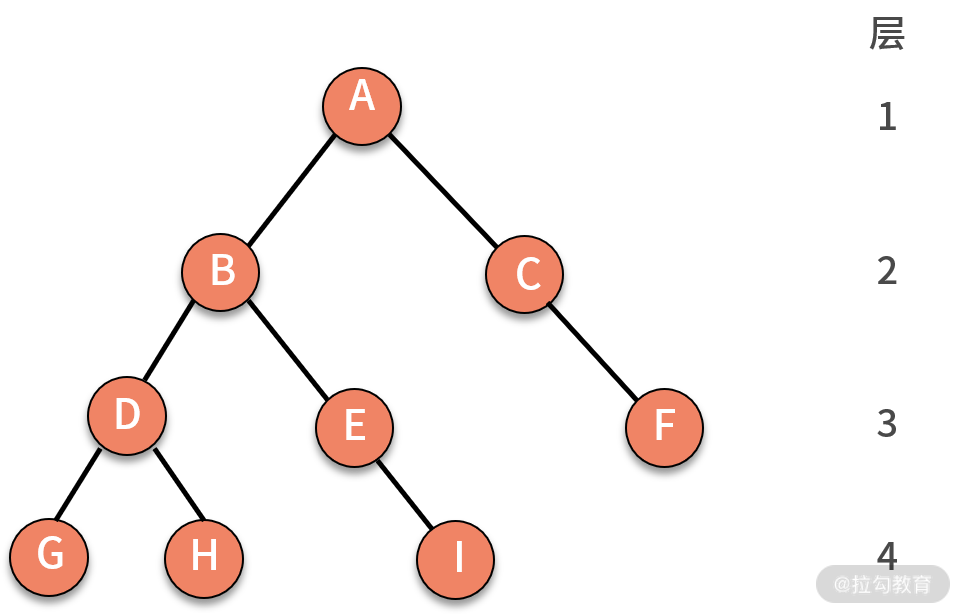 09 | 树和二叉树：分支关系与层次结构下，如何有效实现增删查？ - 图3