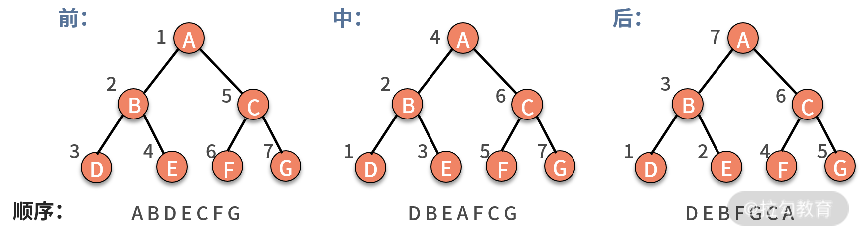 09 | 树和二叉树：分支关系与层次结构下，如何有效实现增删查？ - 图8