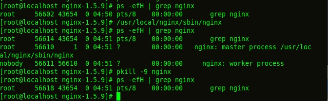 linux 安装 nginx - 图7
