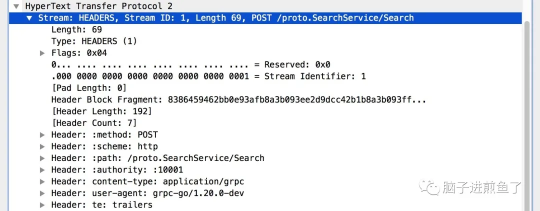 从实践到原理,带你参透 gRPC - 图12