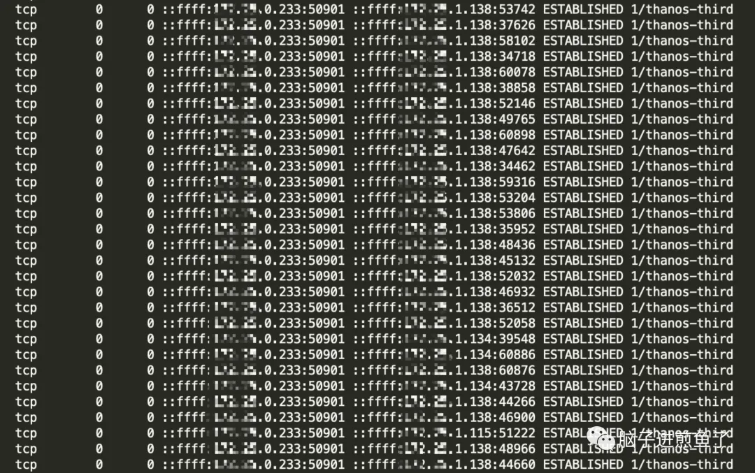 从实践到原理,带你参透 gRPC - 图29