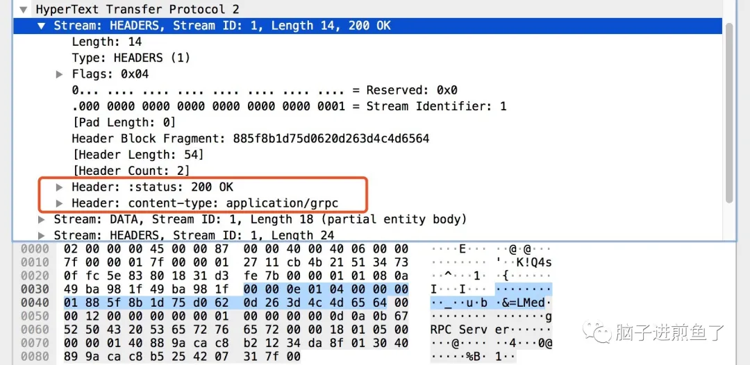 从实践到原理,带你参透 gRPC - 图14