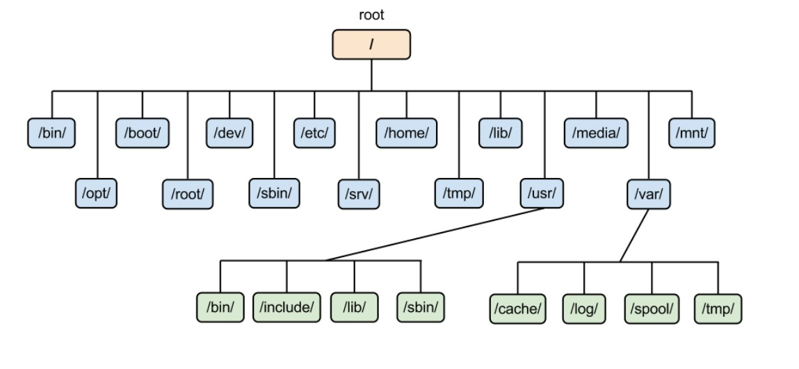 directory structure.png