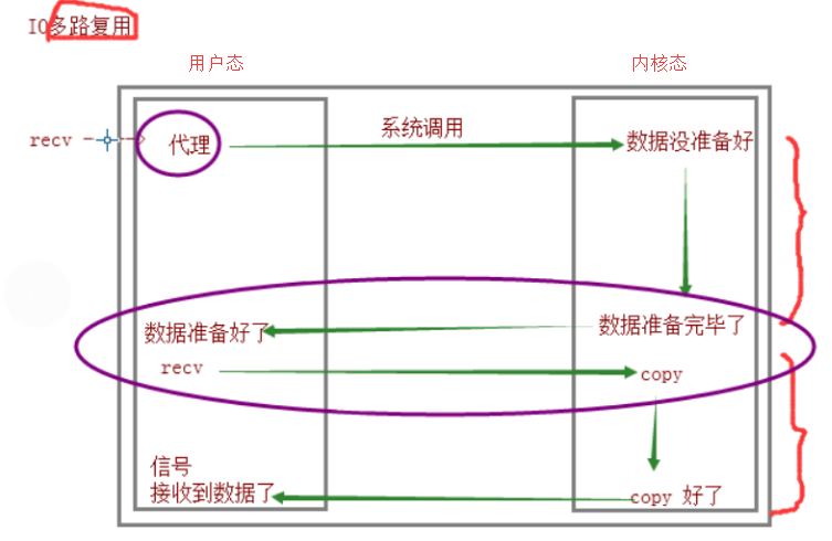 Day44 IO模型介绍,阻塞IO,非阻塞IO,多路复用IO,异步IO,IO模型比较分析,selectors模块,垃圾回收机制 - 图8
