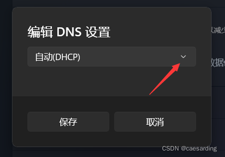 Win11修改DNS服务器 - 图5