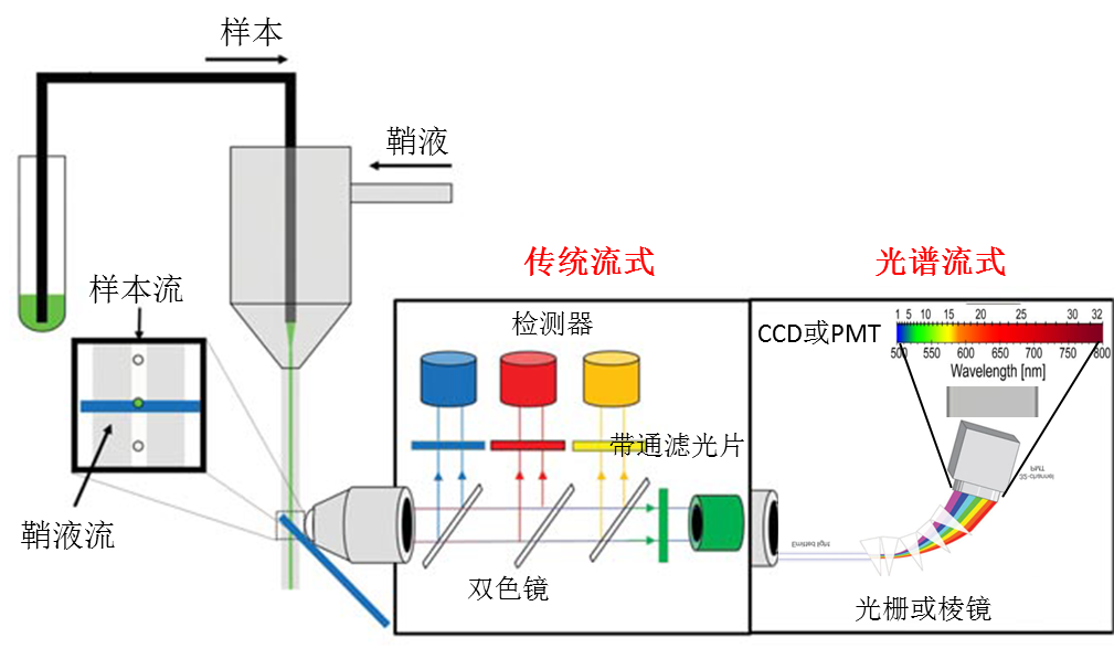 全光谱流式细胞术基本原理和应用 - 图2