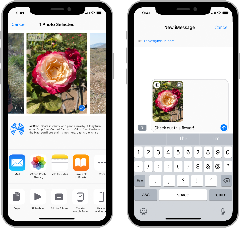苹果iOS13设计规范 - 图264
