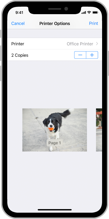苹果iOS13设计规范 - 图57