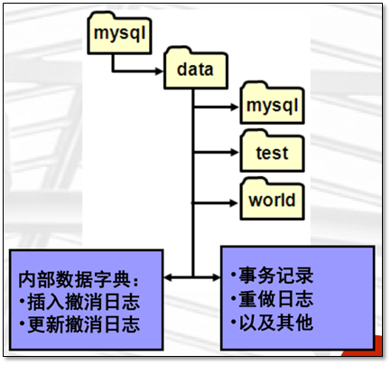 MySQL的存储引擎与日志说明 - 图6