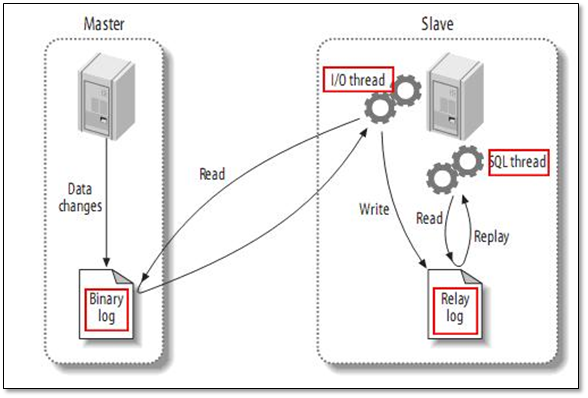 MySQL Replication 主从复制全方位解决方案 - 图5