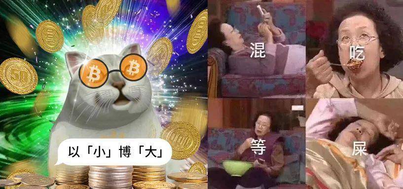 这可能是最小白的「期权」科普文章了！ - 图3