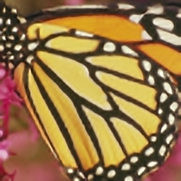 butterfly_srcnn_x4.png