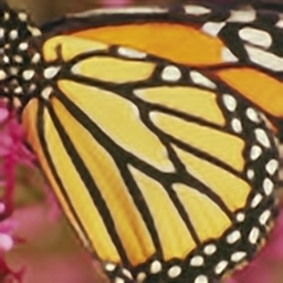 butterfly_srcnn_x4.png