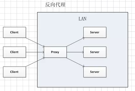 reverse proxy