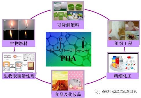 最具应用前景的生物降解塑料盘点 - 图5