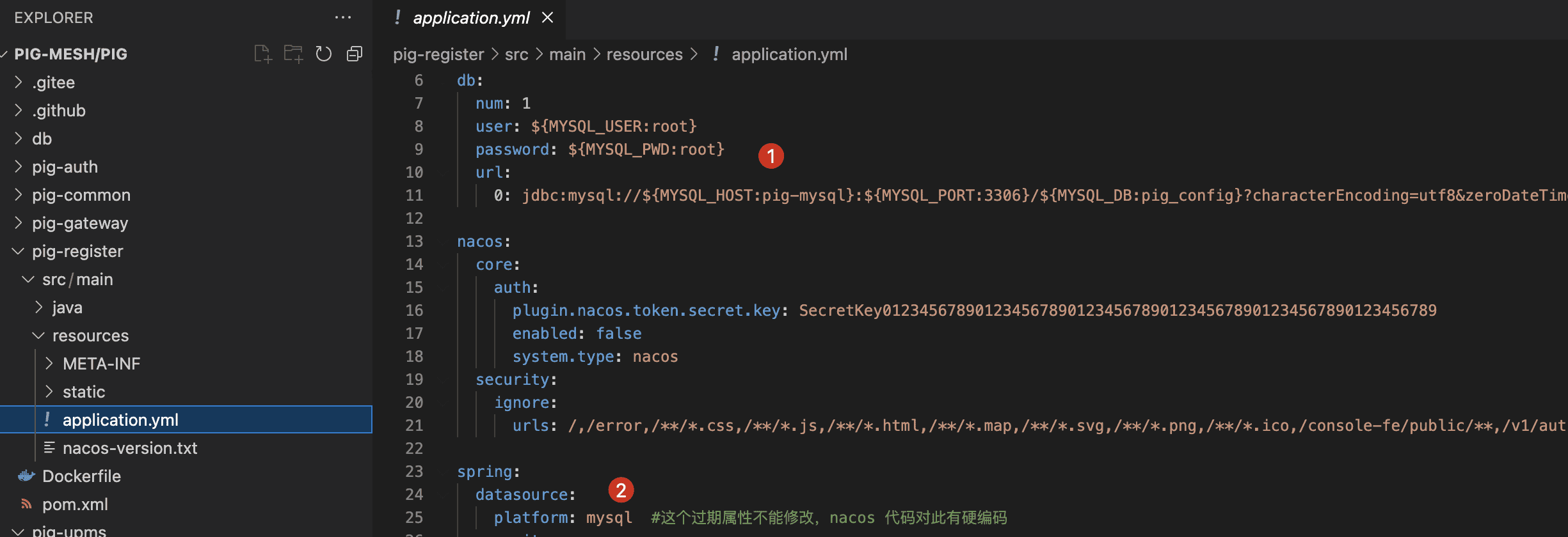 pig-register nacos 支持人大金仓存储 - 图3