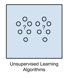 image (3).png