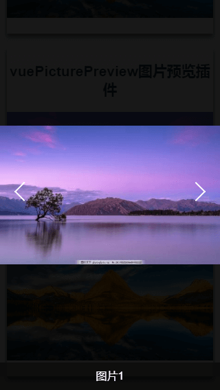 【VUE】VUE 图片预览放大缩小插件 - 图4