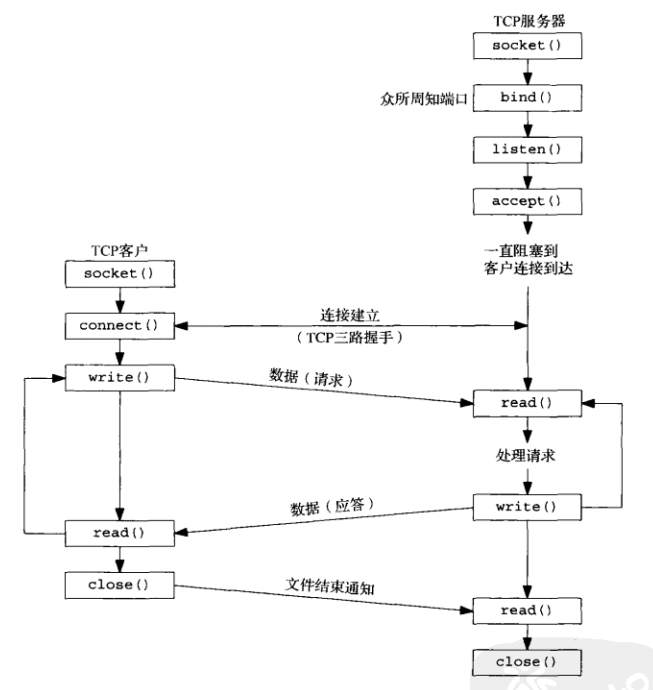 搞懂Socket网络编程 🤔 - 图2