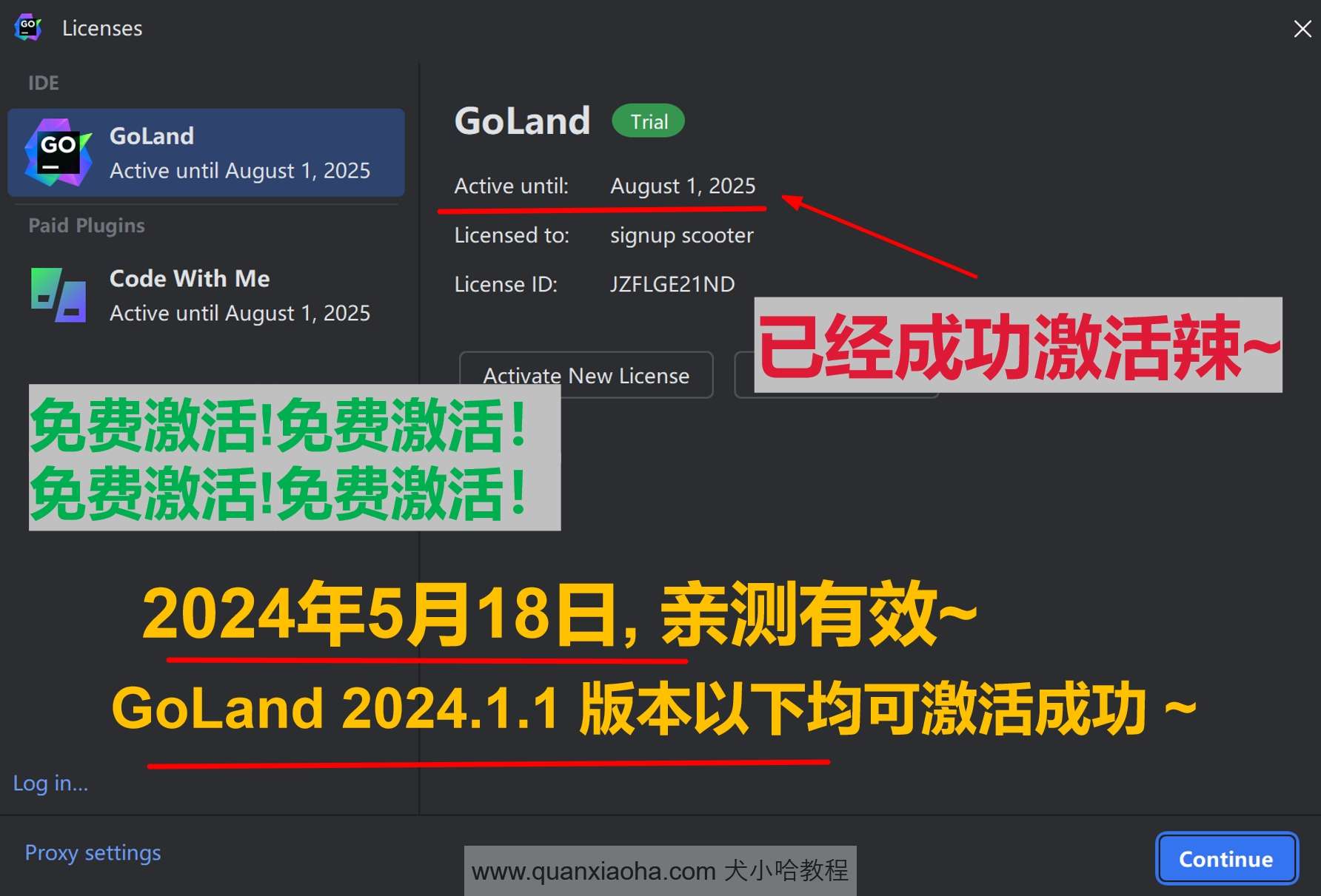 Goland 2024 激活码,破解版安装教程 - 图1