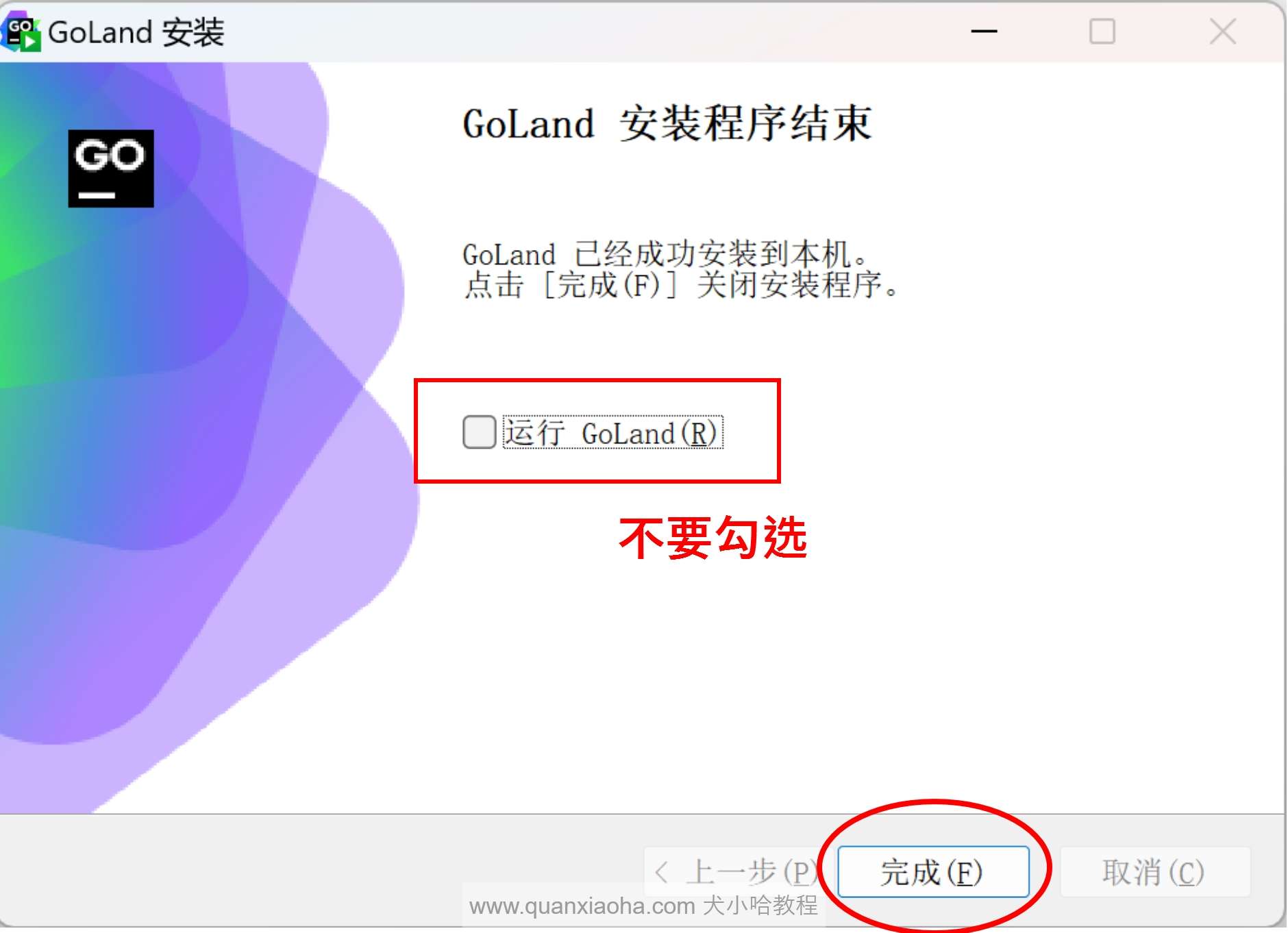 Goland 2024 激活码,破解版安装教程 - 图4