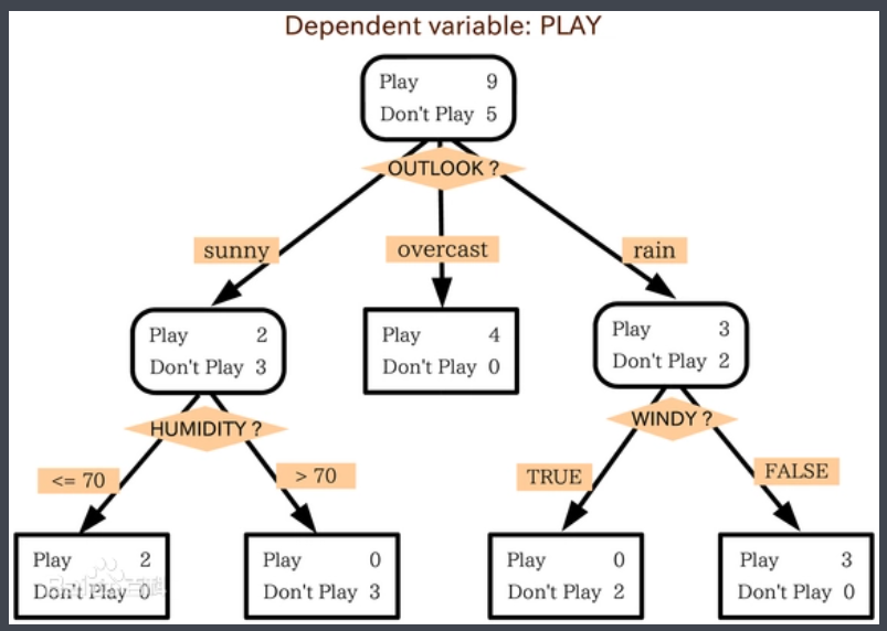 决策树是什么？ - 图11