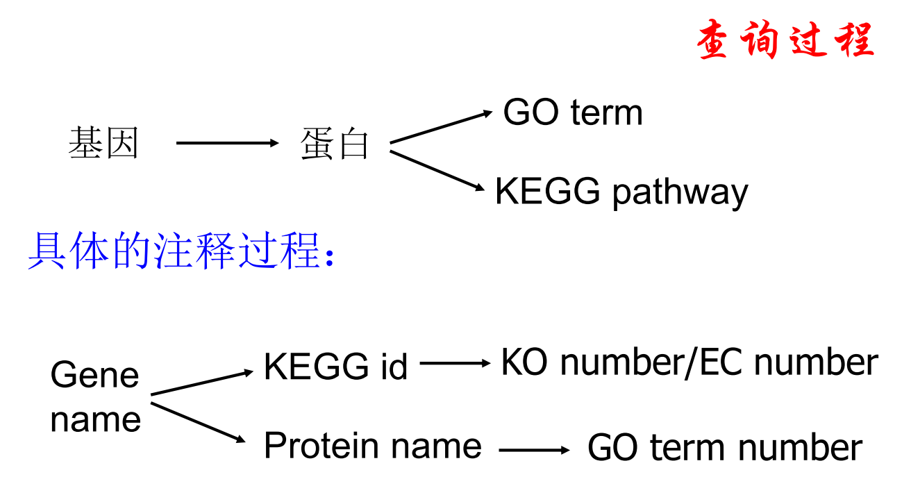 K 2021.2.13 - 图3