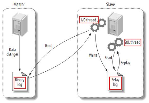 MYSQL进阶-01-MYSQL高可用架构 - 图1