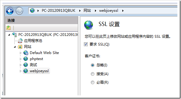 windows iis搭建https - 图14
