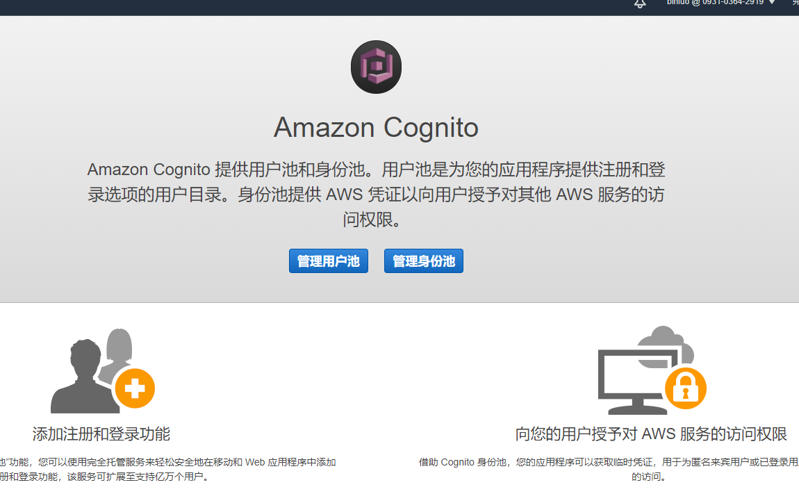 23. Cognito Cognito User Pools, Cognito Identity Pools & Cognito Sync - 图10