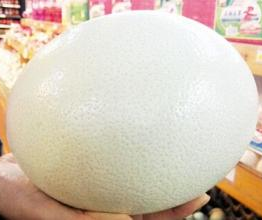 第2章  操作系统发展简介及系统版本选择 - 图7