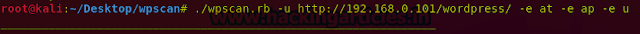 WPScan使用完整攻略：如何对Wordpress站点进行安全测试 - 图12